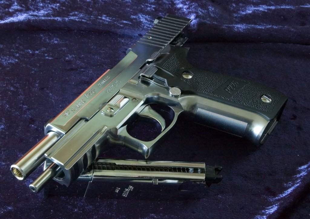 Chrome Stainless finish not for everyone, but looks good on the P226.