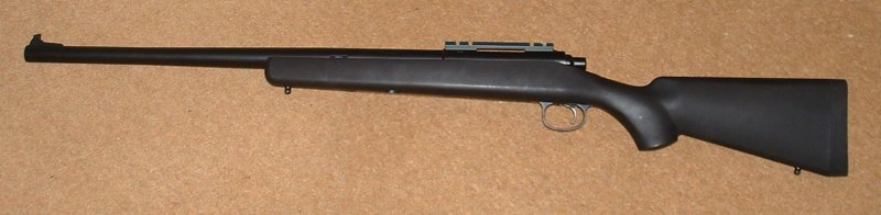 Plain, no-nonsense gun. Mine has Laylax scope mount in place of rear sight.